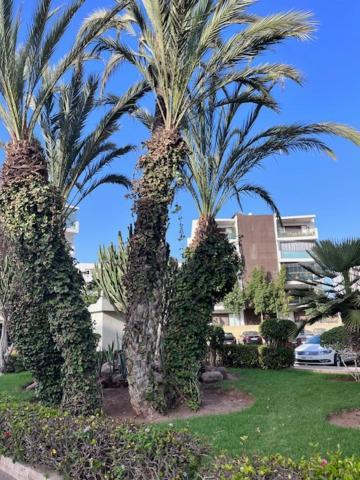 אגאדיר Appartement De Haut Standing En Residence מראה חיצוני תמונה