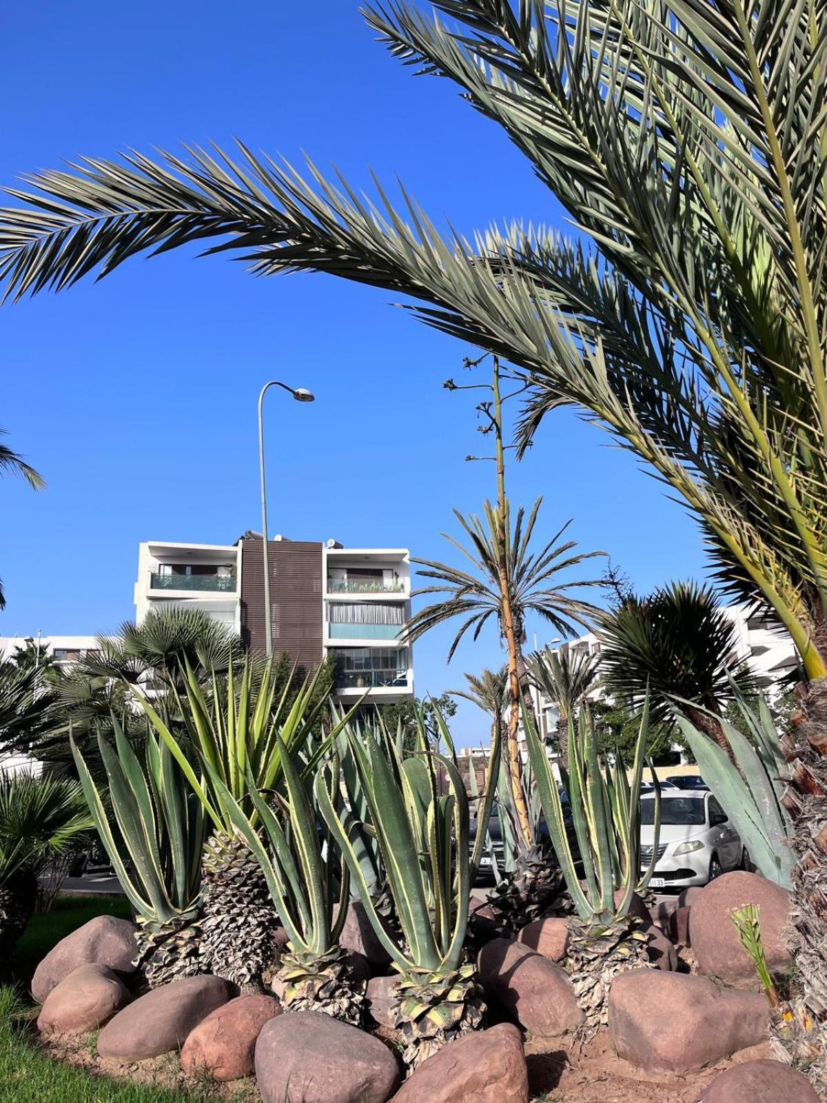 אגאדיר Appartement De Haut Standing En Residence מראה חיצוני תמונה